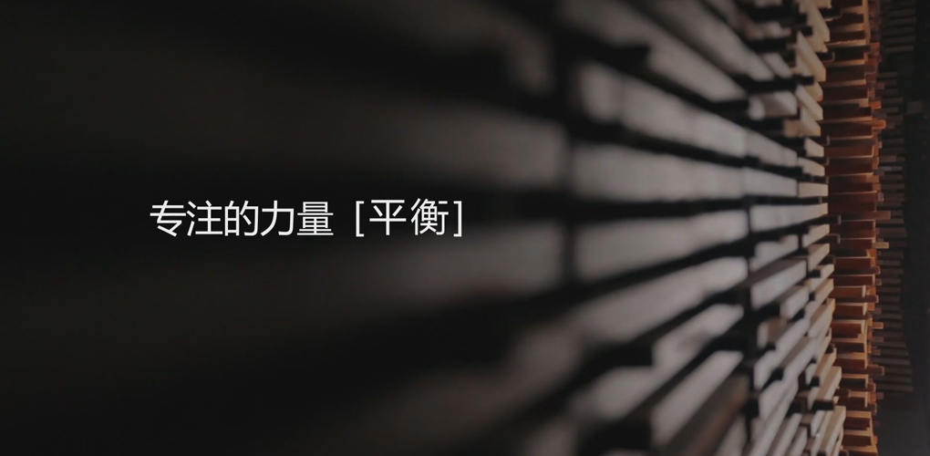 专注的力量-《平衡》