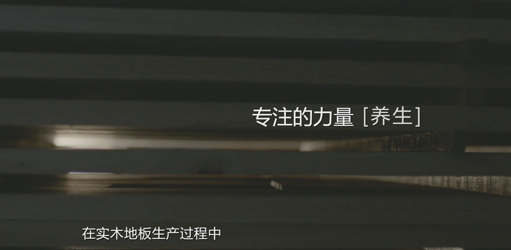 专注的力量-《养生》